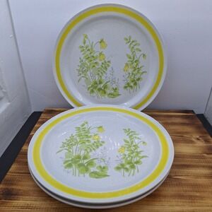 X3 Vintage Chaddsford Spring Meadow Stoneware Dinner Plates Oven-Proof Japan